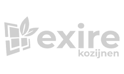 Exire